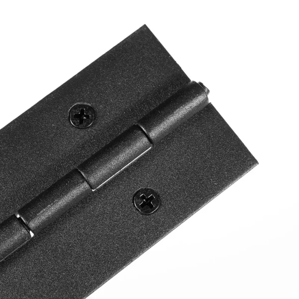 Set 2 cerniere lunghe 300 mm larghe 50 mm spessore 1,5 mm in acciaio inox verniciato.con 20 viti M4 x16 mm - immagine 4